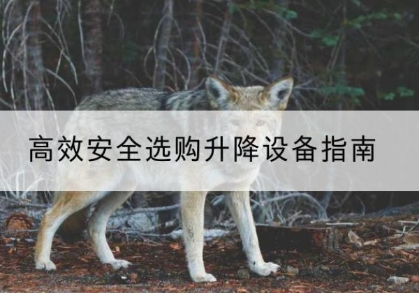 鹿寨升降货梯厂家推荐-*安全选购升降设备指南