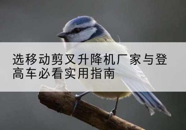 鹿寨电动升降机厂家-选移动剪叉升降机厂家与登高车必看实用指南