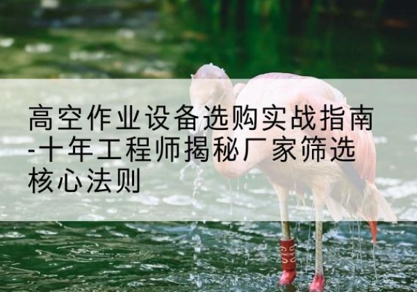 鹿寨剪叉式升降机厂家-高空作业设备选购实战指南-十年工程师揭秘厂家筛选核心法则